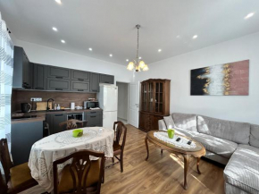 Apartment Aristocrat with Free Parking